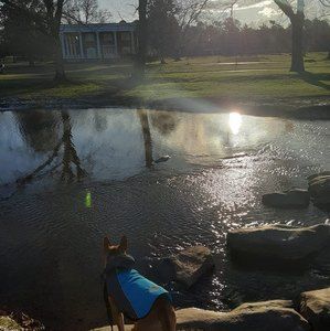 Meet your Posher, Billy